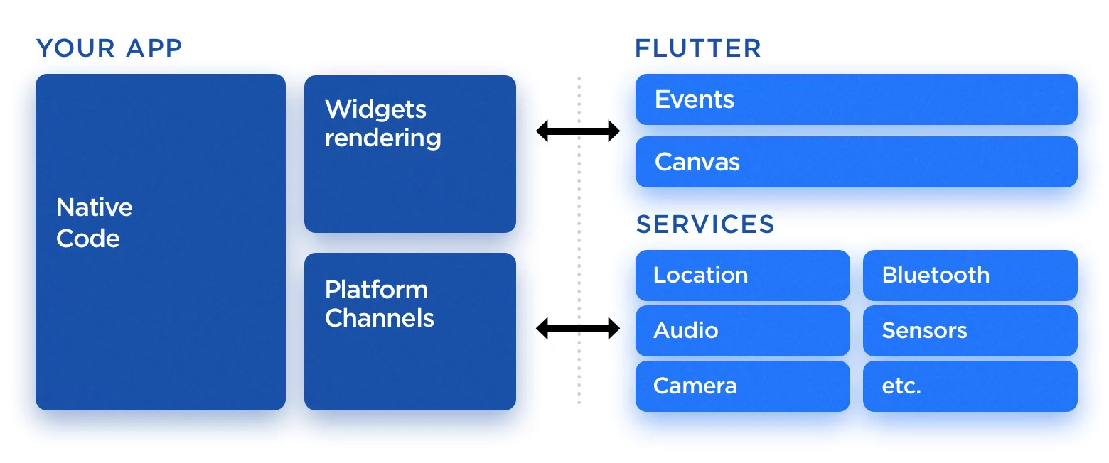 An Overview Of Flutter Architecture How Does It Work Surf My Xxx Hot Girl